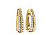 A292-76079: EARRINGS 1.00 TW