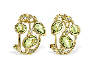 B207-31524: EARR 2.76 PERIDOT 2.83 TGW