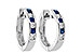 C019-12378: EARRINGS .29 SAPP .50 TGW