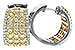 C207-30597: EARR 2.14 YELLOW DIAS 2.45 TW
