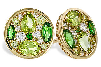 F292-76933: EARR 1.03 TW SEMI-PRECIOUS (TSAV, PER) 1.19 TGW