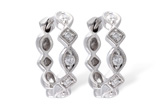 M019-09641: EARRINGS .22 TW