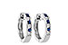 M019-12369: EARRINGS .16 SAPP .26 TGW